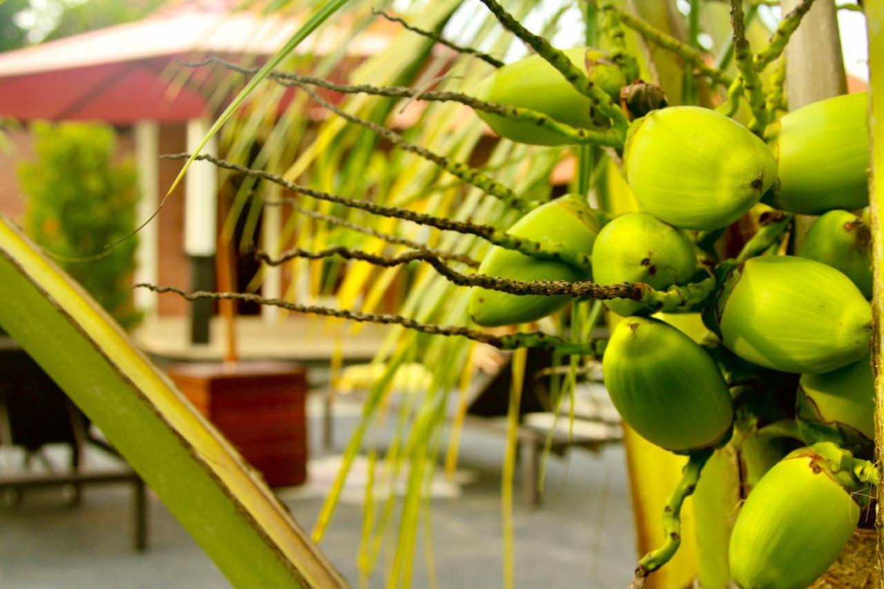 Dhiari Gasthuis Ubud